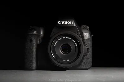 Canon EOS 6D Mark II пример фотографии 224301645