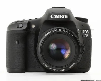 Canon 7d фото фото