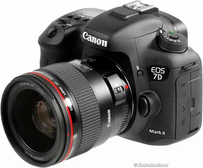 Canon 7D (PL Mount)