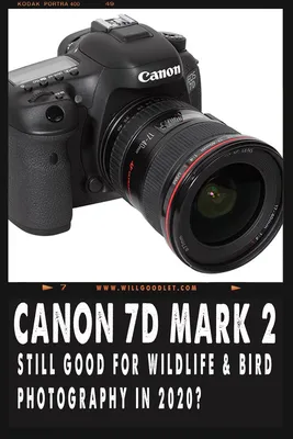 Canon EOS 7D Mark II review | Stuff