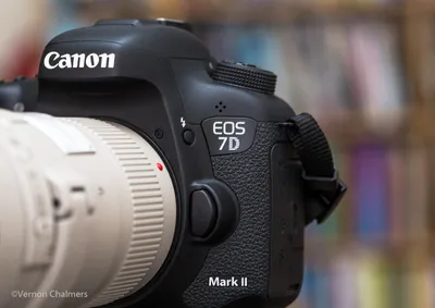 Canon 7D: Fast Start – John Greengo Photography