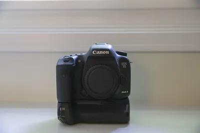 Canon 7D ii Focus System – Top 3 Settings Tips — Espen Helland Photography