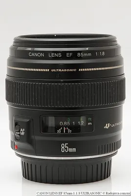 121] Обзор объектива Canon EF 50mm f/1.8 STM, примеры фото | Статьи о фото  | Все записи