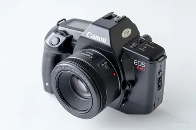 Canon EF 50 mm f/1.8 STM пример фотографии 224278823