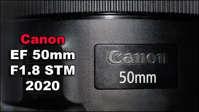 Canon EF 50 mm f/1.8 STM пример фотографии 225075089