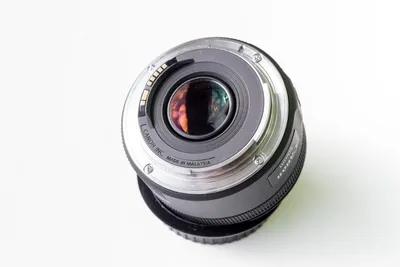 Canon EF 50 mm f/1.8 STM пример фотографии 222571445