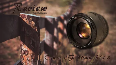 Canon EF 50 mm f/1.8 STM пример фотографии 224803833