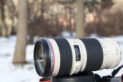 Объектив Canon EF 70-200 f/2.8L USM. Цены, отзывы, фотографии, видео