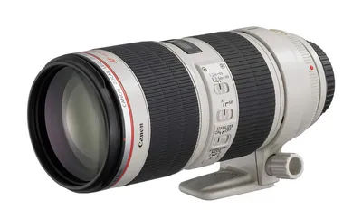 Объектив Canon EF 70-200mm f/4 L IS USM | Иди и снимай | Дзен