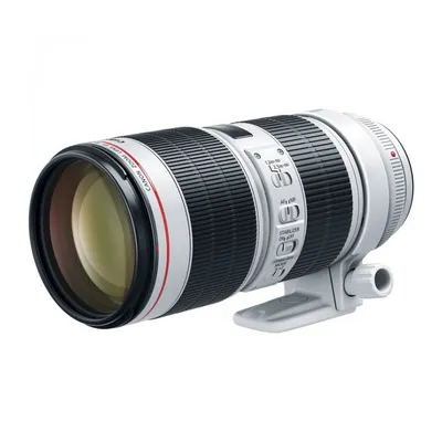 Обзор и тест объектива Canon EF 70-200mm f/2.8L IS II USM
