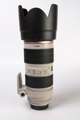 Canon RF 70-200 2.8 // REVIEW - YouTube