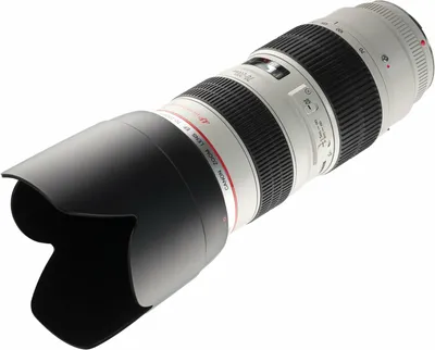 Обзор-сравнение Canon RF 70-200mm f2.8L IS vs EF 70-200mm f2.8L III -  YouTube