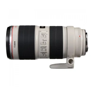 Обзор Canon EF 70-200mm f/4 L IS USM | с примерами фото и видео