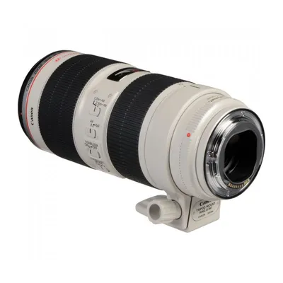 Canon EF 70-200 mm f/2.8L IS II USM пример фотографии 223767051