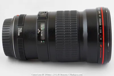 Стоит ли покупать Объектив Canon EF 70-200mm f/2.8L USM? Отзывы на Яндекс  Маркете