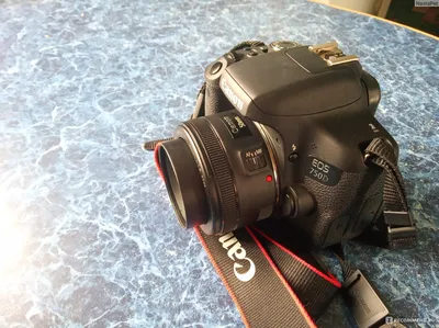 Обзор Canon EF 50mm f/1.8 STM | Иди и снимай | Дзен