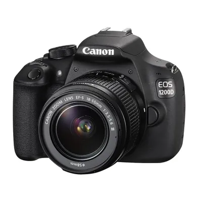 Canon EOS 1200D пример фотографии 225079325