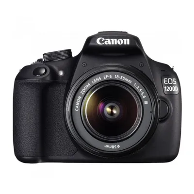 Canon EOS 1200D пример фотографии 221474867