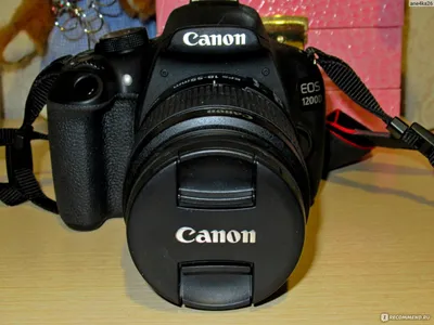Купить Зеркальный фотоаппарат Canon EOS 1200D Kit 18-55 III DC - в  фотомагазине Pixel24.ru, цена, отзывы, характеристики