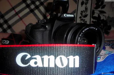 Canon EOS 1200D Kit - «Давно хотела фотоаппарат. В итоге мечта сбылась, но  спустя столько лет... Расскажу, почему выбрала эту модель, научилась ли  фотографировать и вообще с чего всё началось + фото » | отзывы