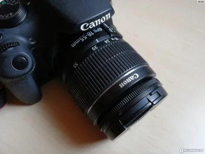 Canon EOS 1200D пример фотографии 226538023