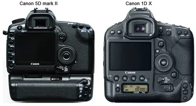 Галерея тестовых снимков Canon EOS-1D X Mark II