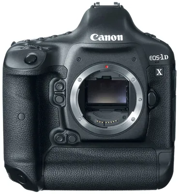 Canon EOS-1D X Mark II пример фотографии 214009581