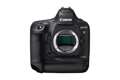 Canon EOS-1D X Mark III пример фотографии 1014095467