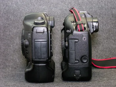 Зеркальная камера Canon EOS 1D X. Цены, отзывы, фотографии, видео