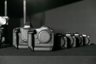 Canon EOS-1D X Mark II пример фотографии 224344849