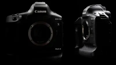 Предчувствие весны вместе с Canon EOS 1D Mark III | История цифровой  фотографии | Дзен