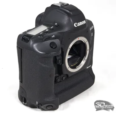 Canon EOS-1D X Mark II пример фотографии 226945323
