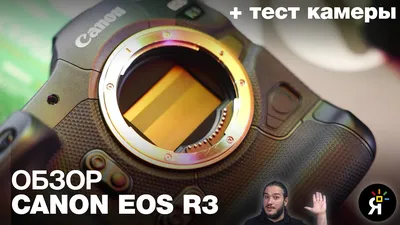 Зеркальный Фотоаппарат Canon EOS 1Dx Mark II body купить на ROZETKA |  Отличная цена на Зеркальный Фотоаппарат Canon EOS 1Dx Mark II body от  продавца: Tech-MSH с обзорами и отзывами покупателей