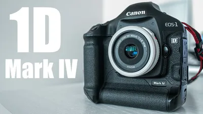 Canon EOS-1D X пример фотографии 307632583