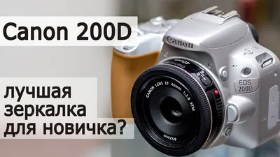 Canon 200D, маленькая камера с большими возможностями. Тест | PHOTOWEBEXPO