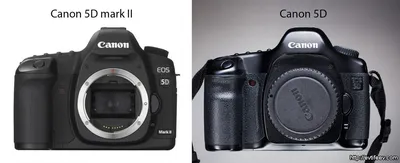 БЛОГ ДМИТРИЯ ЕВТИФЕЕВА | Canon 5D mark II vs Canon 5D