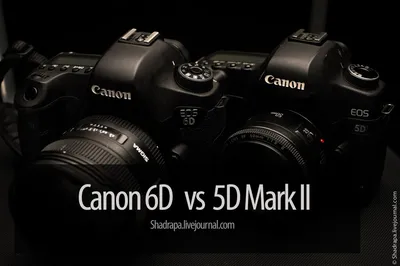 Подержанный Full-frame. Canon 6D против 5D Mark II