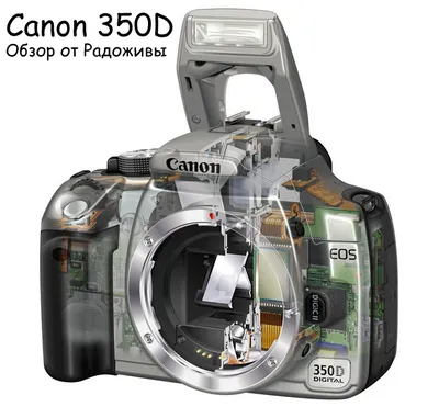 Обзор Canon 350D Digital. Тест камеры Обзор Canon 350 D | Радожива