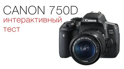 Canon EOS 450 D - «Эталон надежности и долговечия» | отзывы