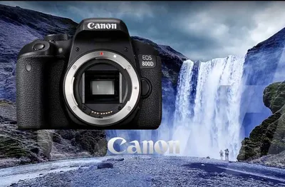 Canon EOS 800D пример фотографии 249796781