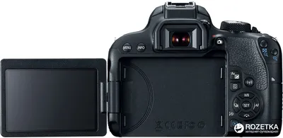 Canon EOS 800D пример фотографии 223248701