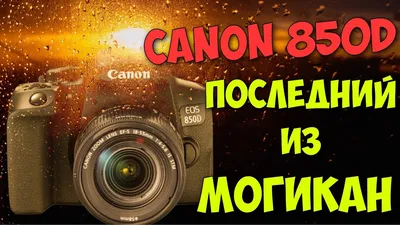 Какой фотоаппарат Canon лучше. Какую камеру Canon купить | Радожива