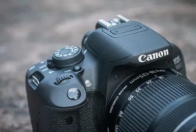 Примеры фотографий с Canon EOS 800D