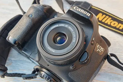 Canon EOS 250D (Rebel SL3) - новая зеркалка начального уровня