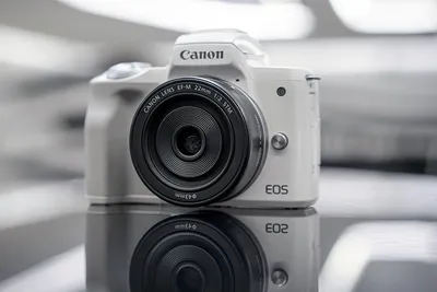 Canon EOS M100 пример фотографии 267445937