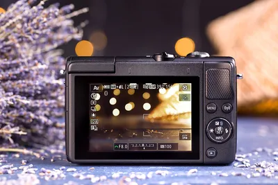 Обзор Canon EOS M50: неделя с экспертом