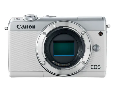 Как фотографировать на Canon EOS M100: настройки фотоаппарата