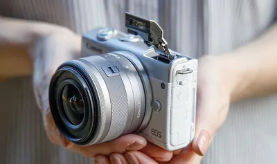 Canon EOS M100 пример фотографии 259487325