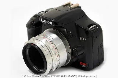 Canon EOS M100 пример фотографии 269889397
