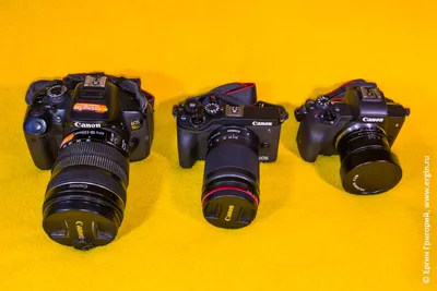 Canon EOS M100 пример фотографии 252266393